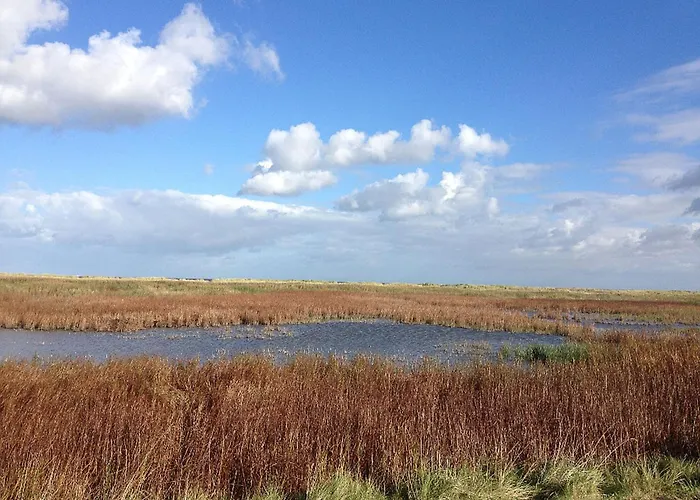 Felix Und Jan Horumersiel